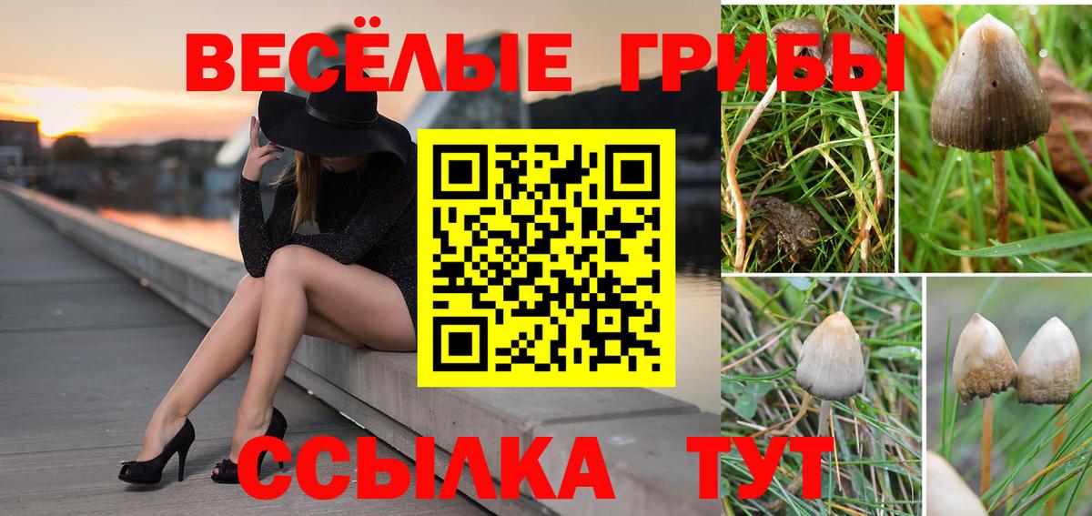 Лиски  наркотики  Галлюциногенные грибы Psilocybe  Вход с VPN  Галлюциногенные грибы прущие грибы 