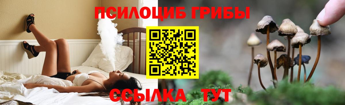 Псилоцибиновые грибы мицелий Лиски